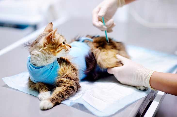 Взято- Яндекс картинки