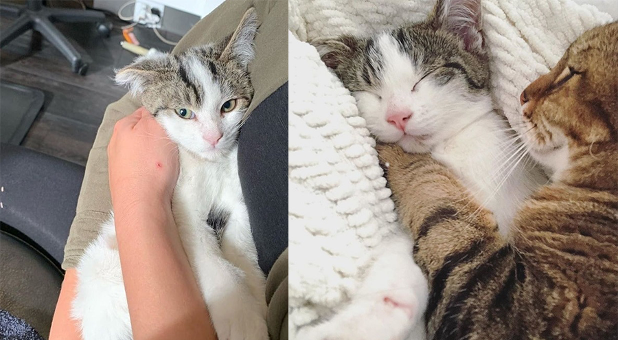 Фото: sm-news.ru v