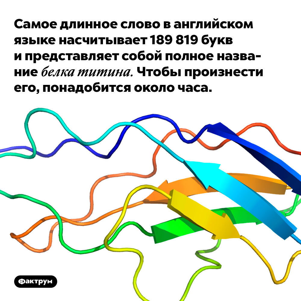 Как выглядит самое длинное слово