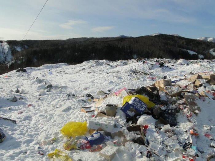 Фото: сайт правительства Сахалинской области, с начала года на Сахалине ликвидировали 15 стихийных свалок  