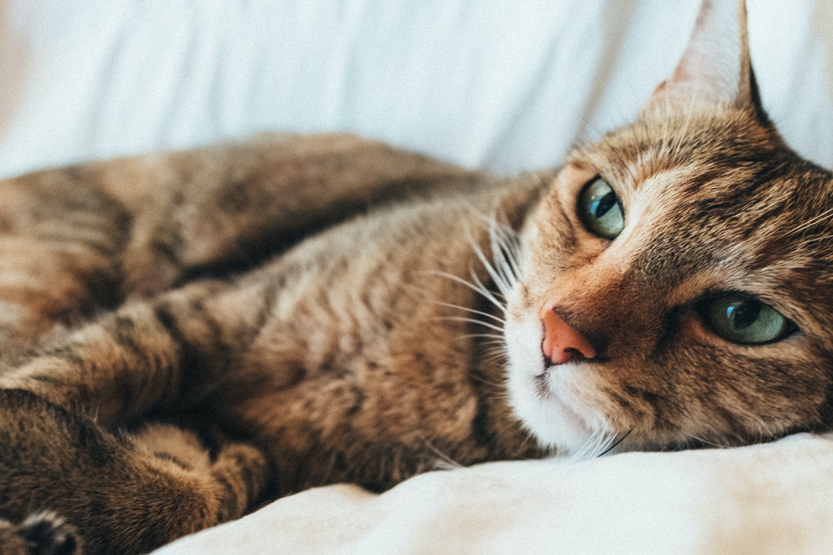 Photo by Darwin Vegher on Unsplash