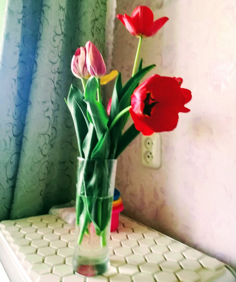 Мои любимые цветы-тюльпаны на 8 марта!