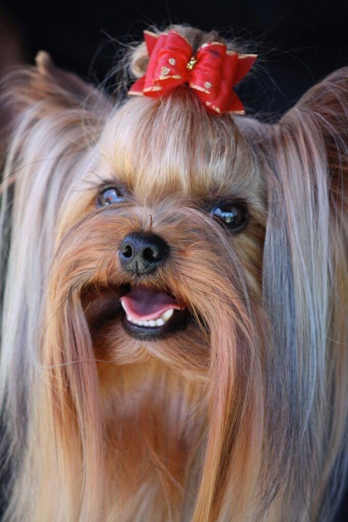 Из открытых источников.