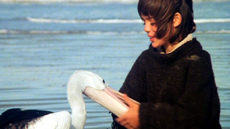 кадр из фильма "Штормовой мальчик"