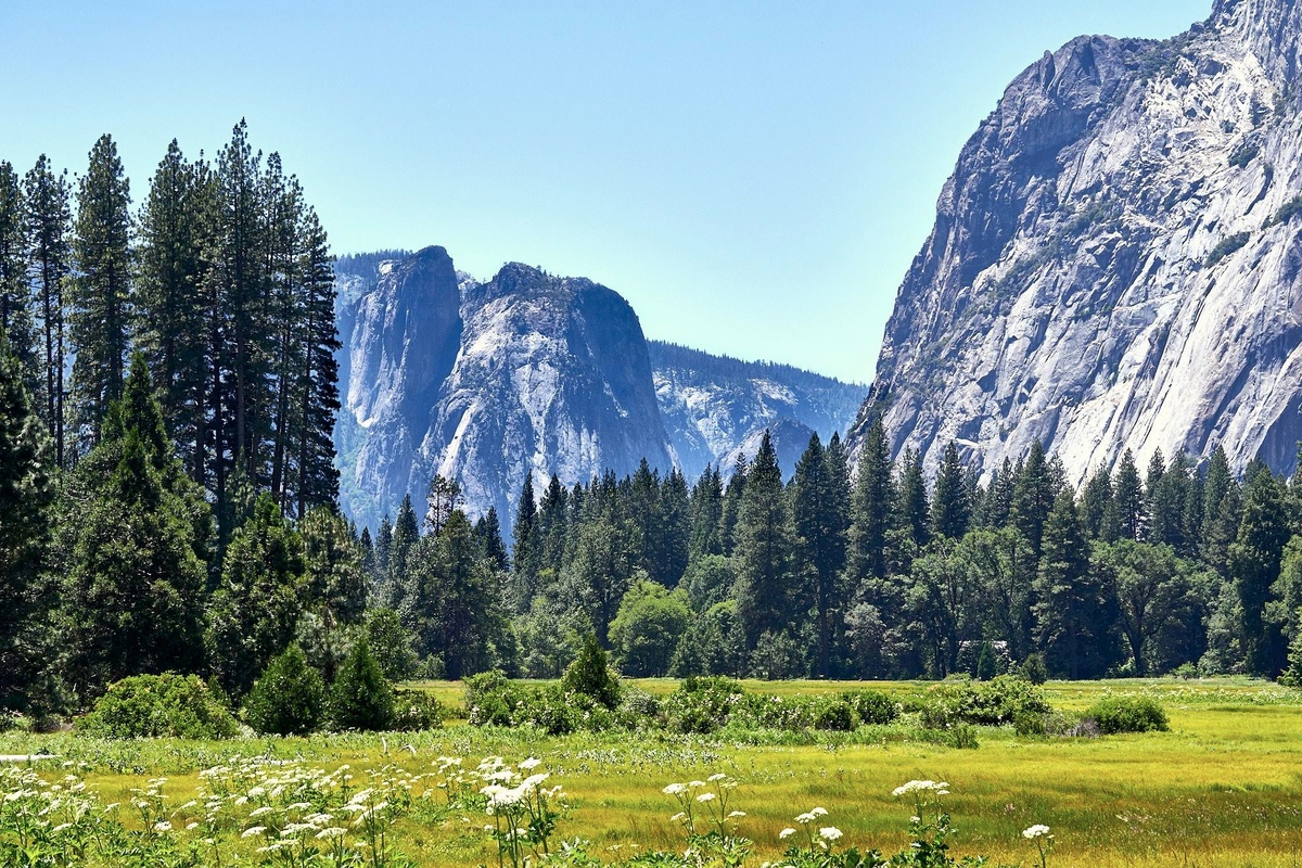 Живописная долина Йосемити с горами рекой 