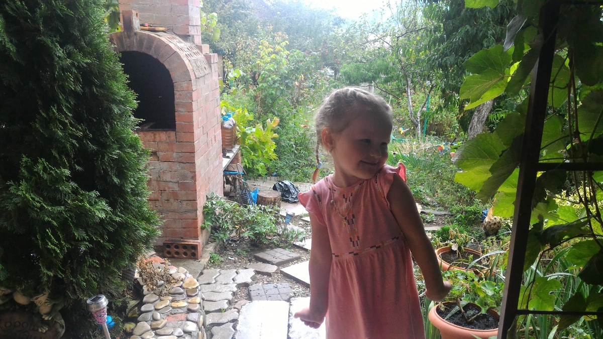 Вид с террасы на сад