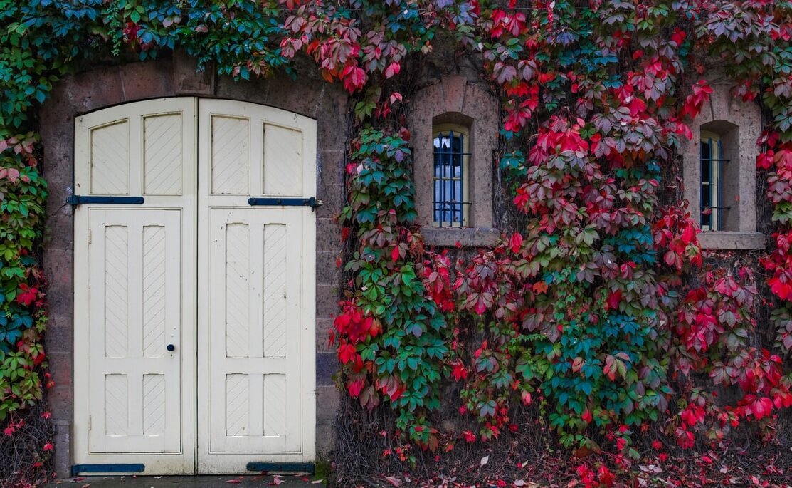 Фото: https://unsplash.com.