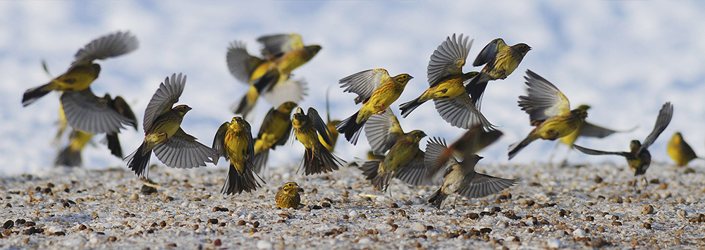 Фото Игоря Бышнева