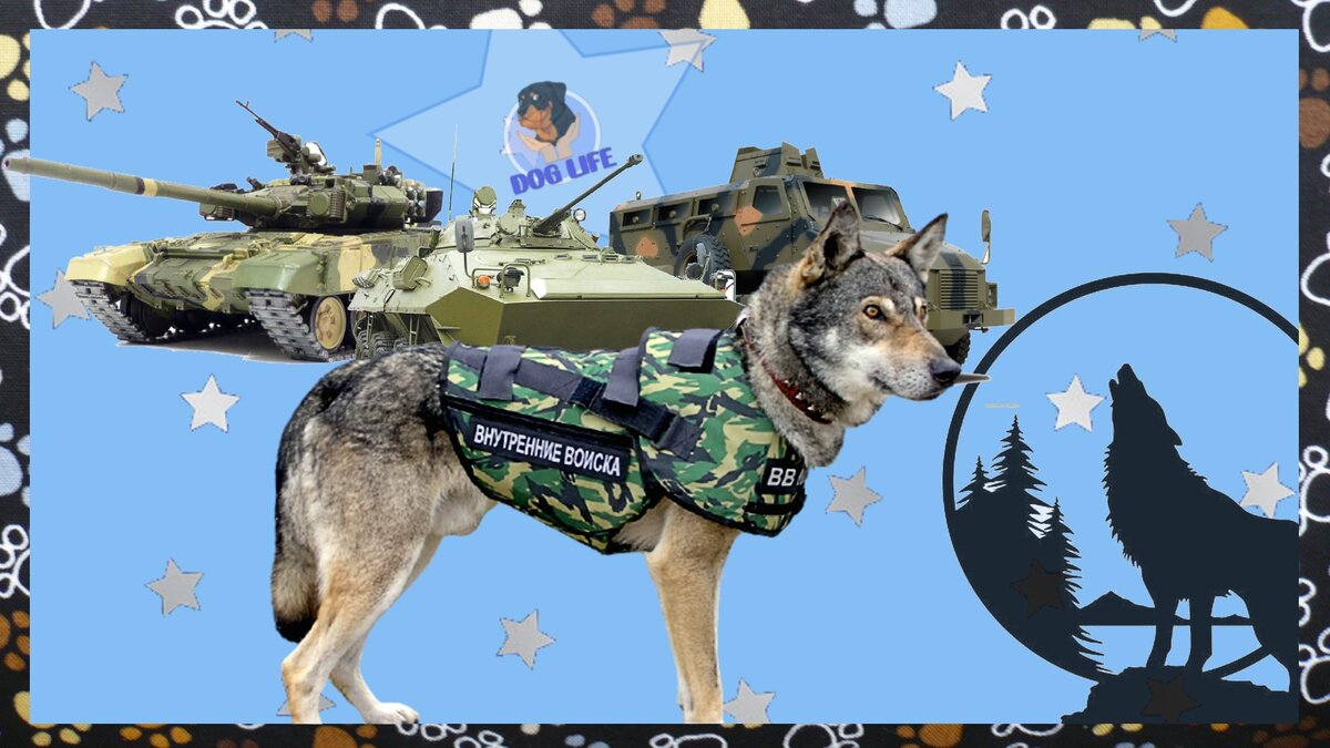 Подписывайтесь на канал, будет интересно!