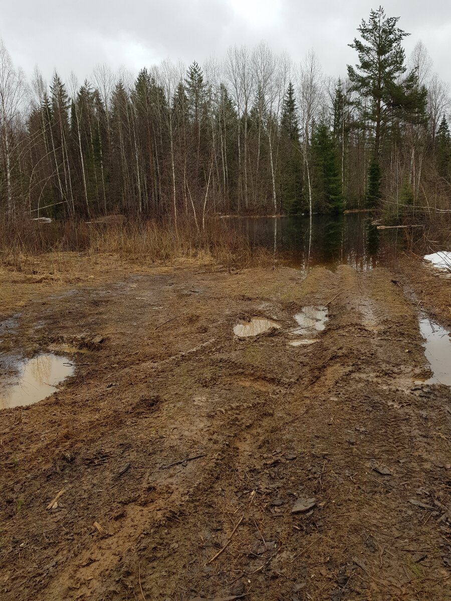 Дорогу затопило разливом речки