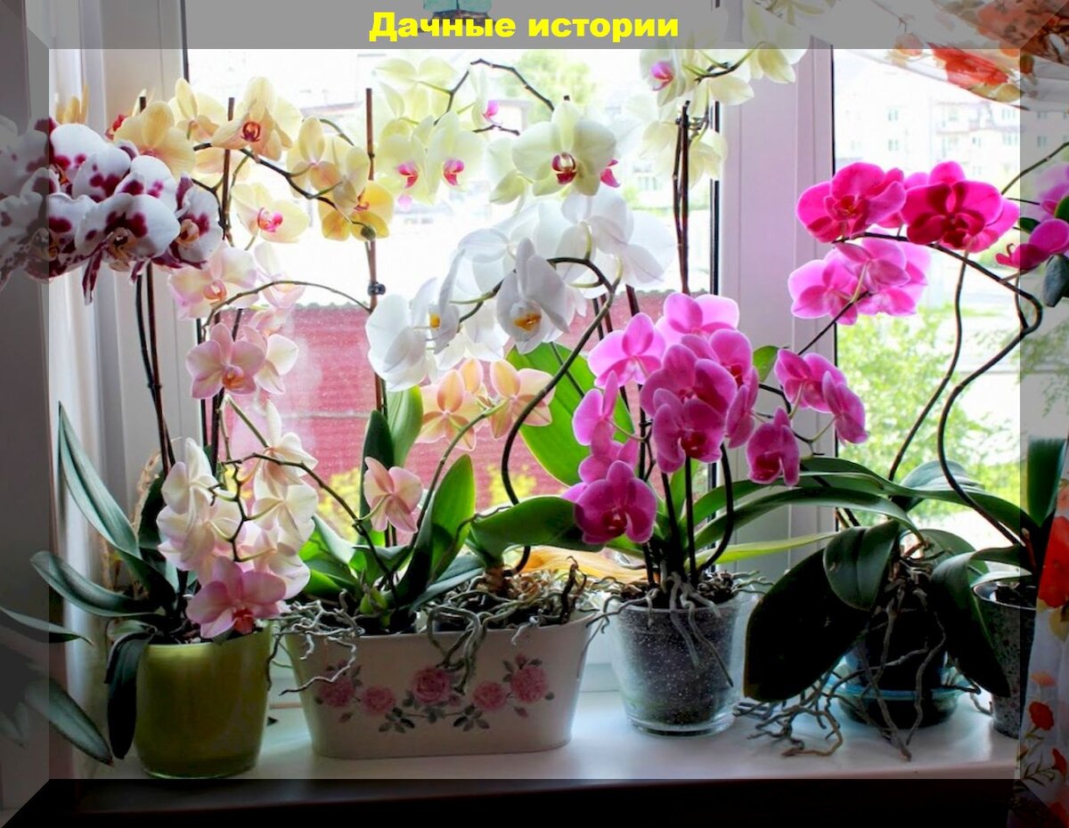 https://vk.com/photo-159774511_457245999