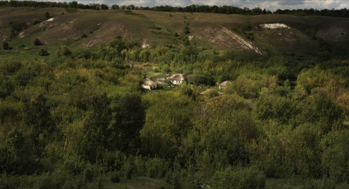Фото из Яндекс картинки.