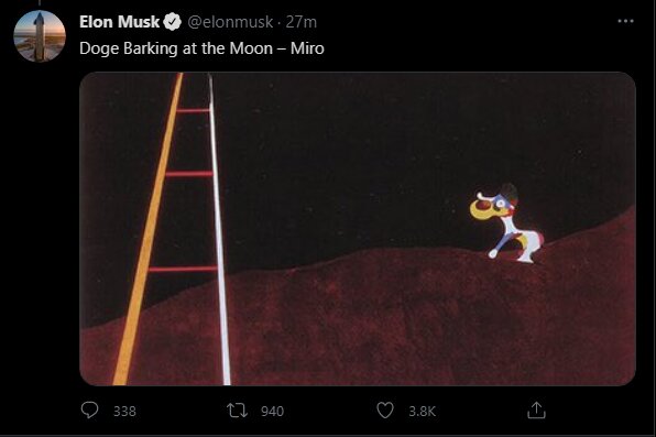 Автор изображения  @elonmusk 