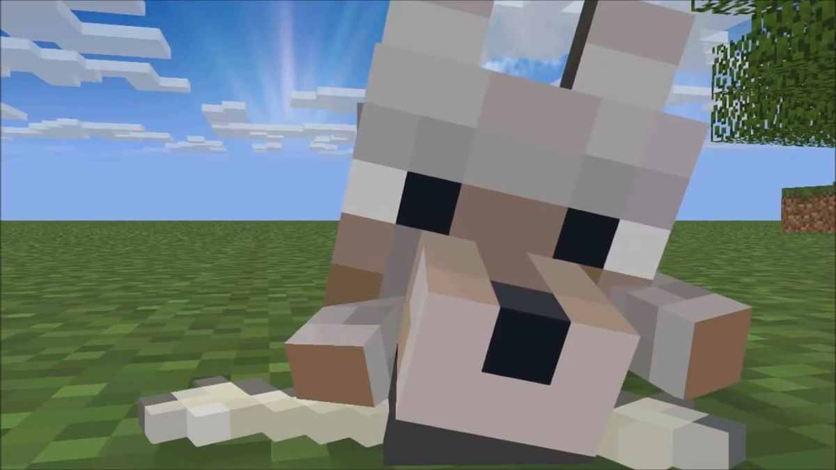 Сладенький! <з (Фото из открытых источников)