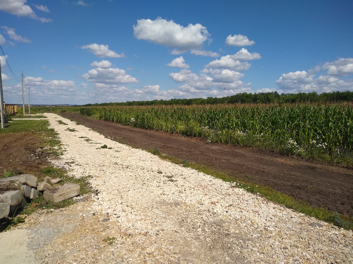 Наша дорога рядом с полем, еще чистая, так как щебень совсем свежий. @ Горбунов Сергей
