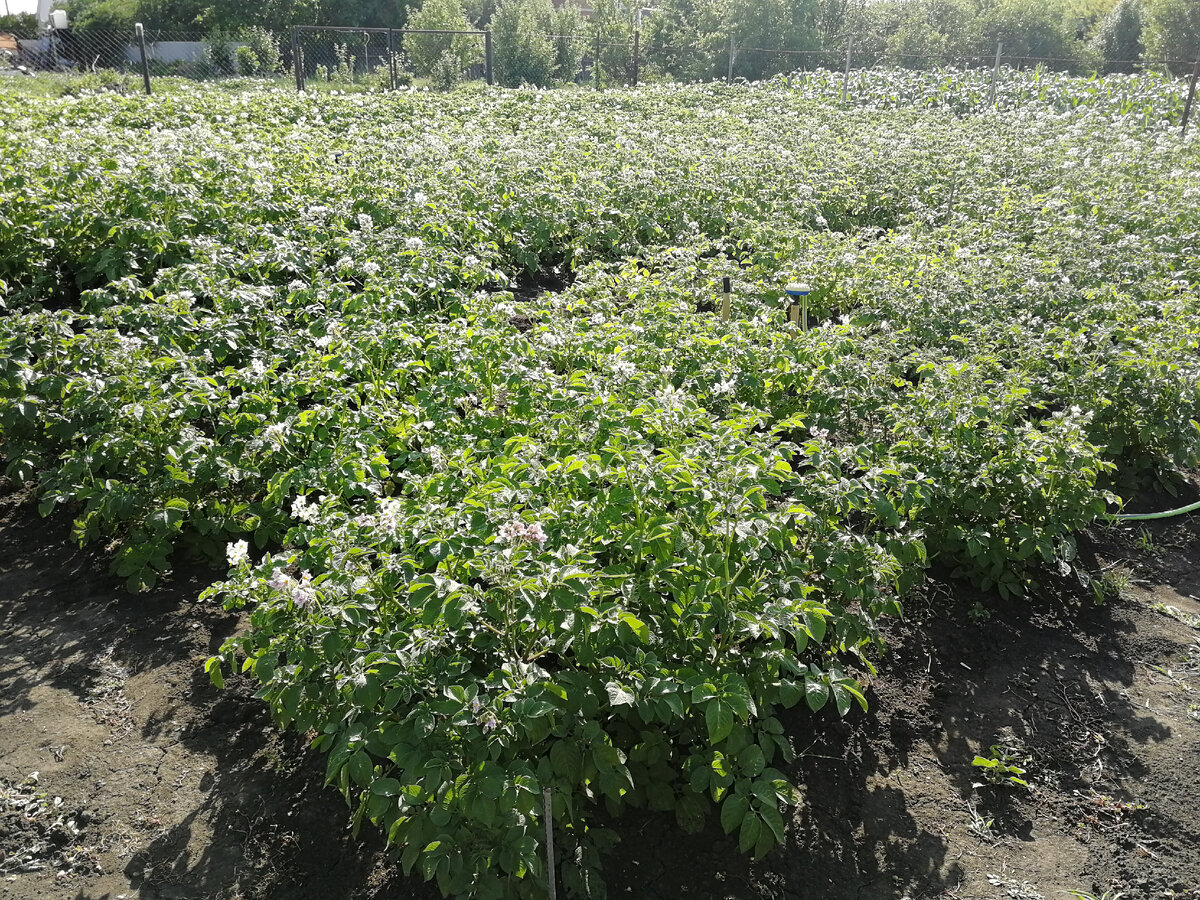 Фото автора статьи