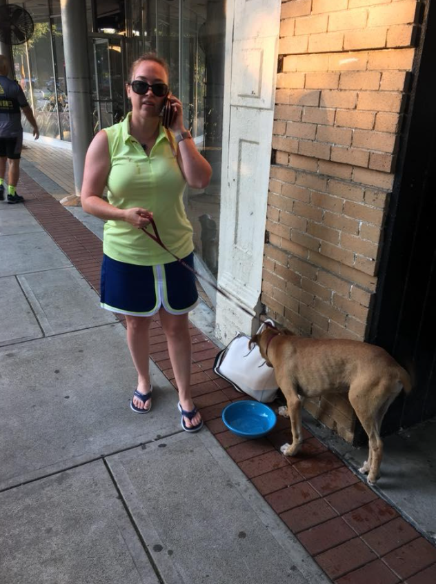 Adventures of Columbus – Facebook