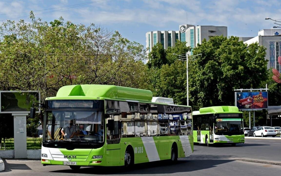 Фото: Tashbus.uz