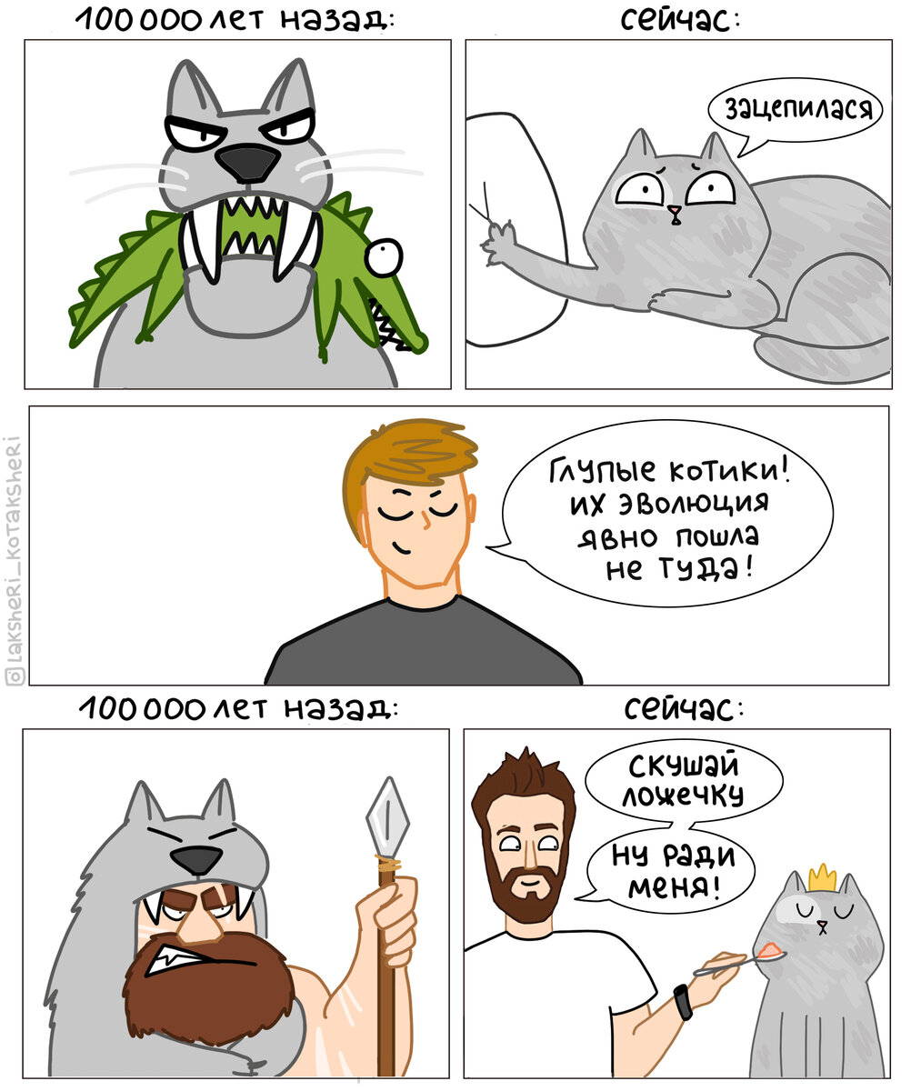 Ни на что не хочу намекать, но кто ползает перед кем на коленях?😂