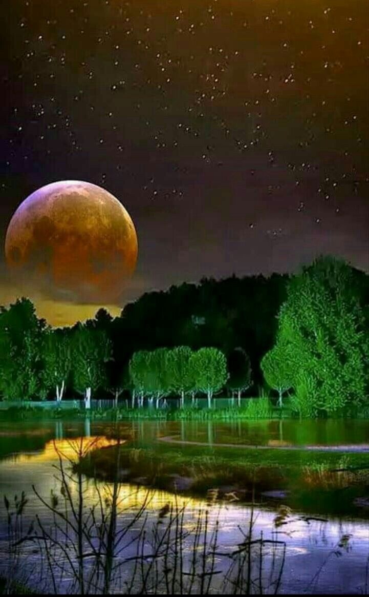 Внетелесный опыт