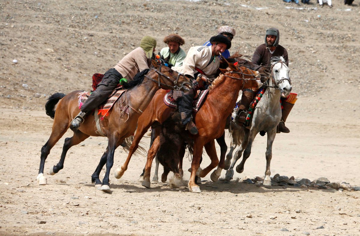 Фото из сервиса из Яндекс.Картинки
