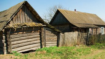 Почему практически не было никакой растительности?, 100 лет назад в деревнях.