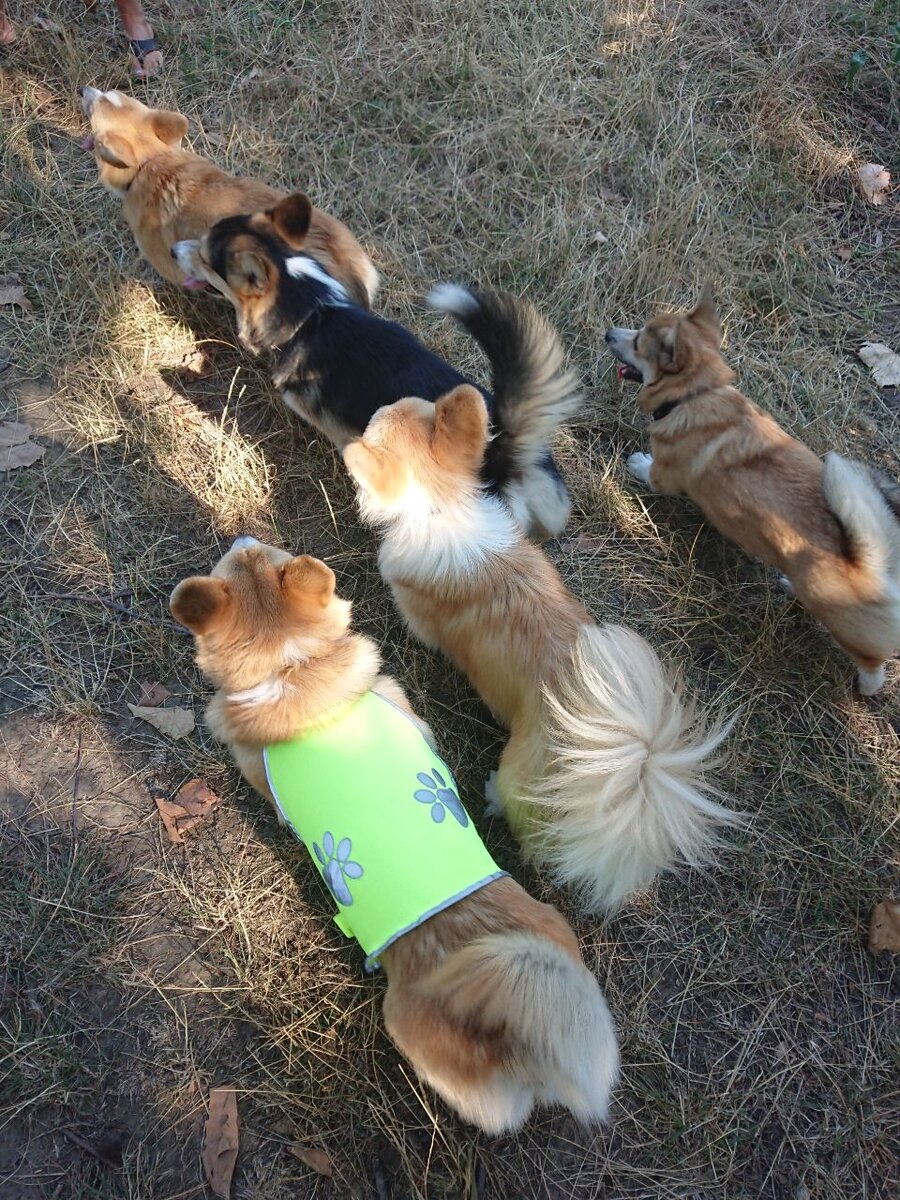 Фото из личного архива