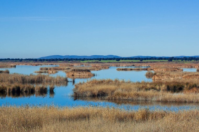 ИЗОБРАЖЕНИЕ: ФОТО FLICKR (DAVID MARTÍNEZ GÓMEZ).