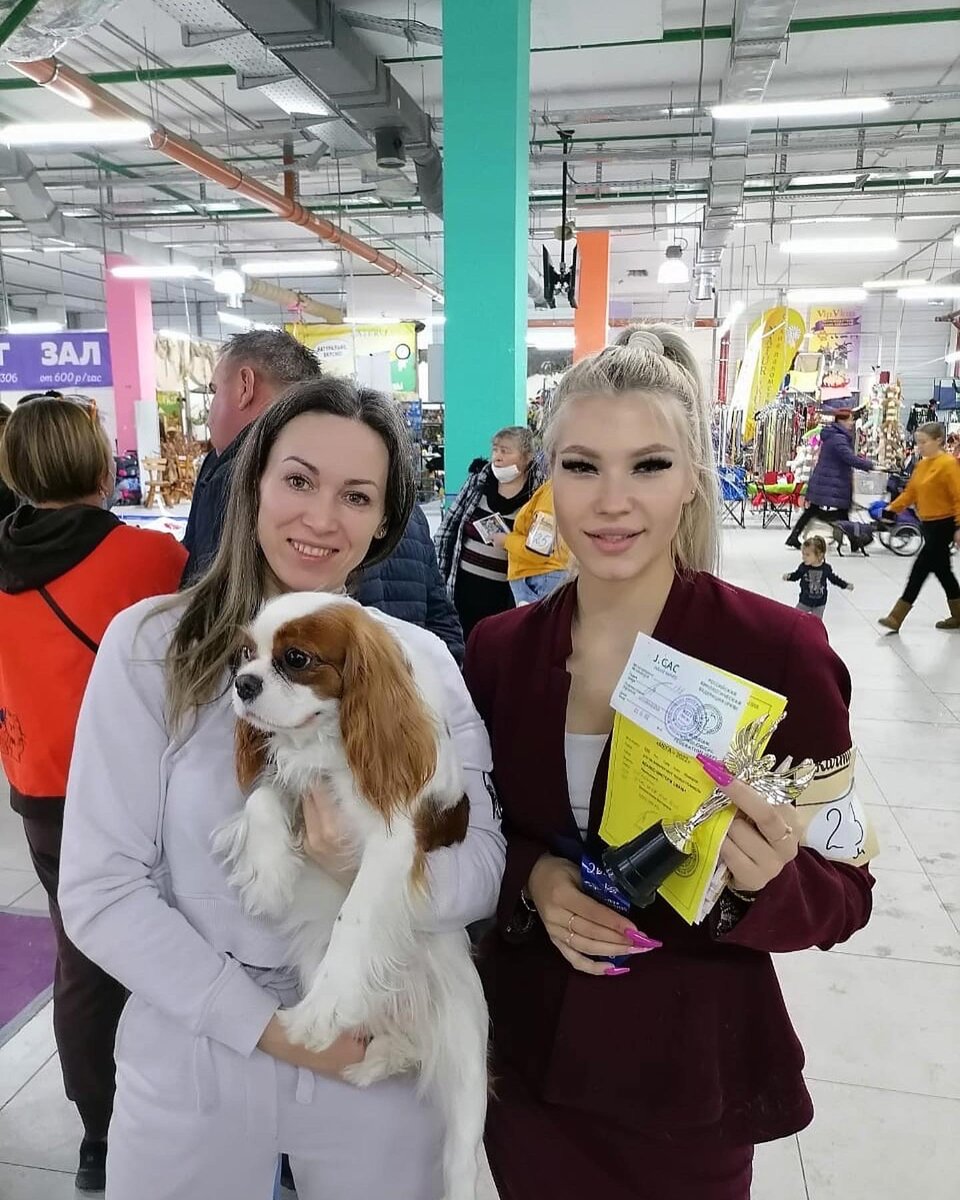 Москва 05.02.2022