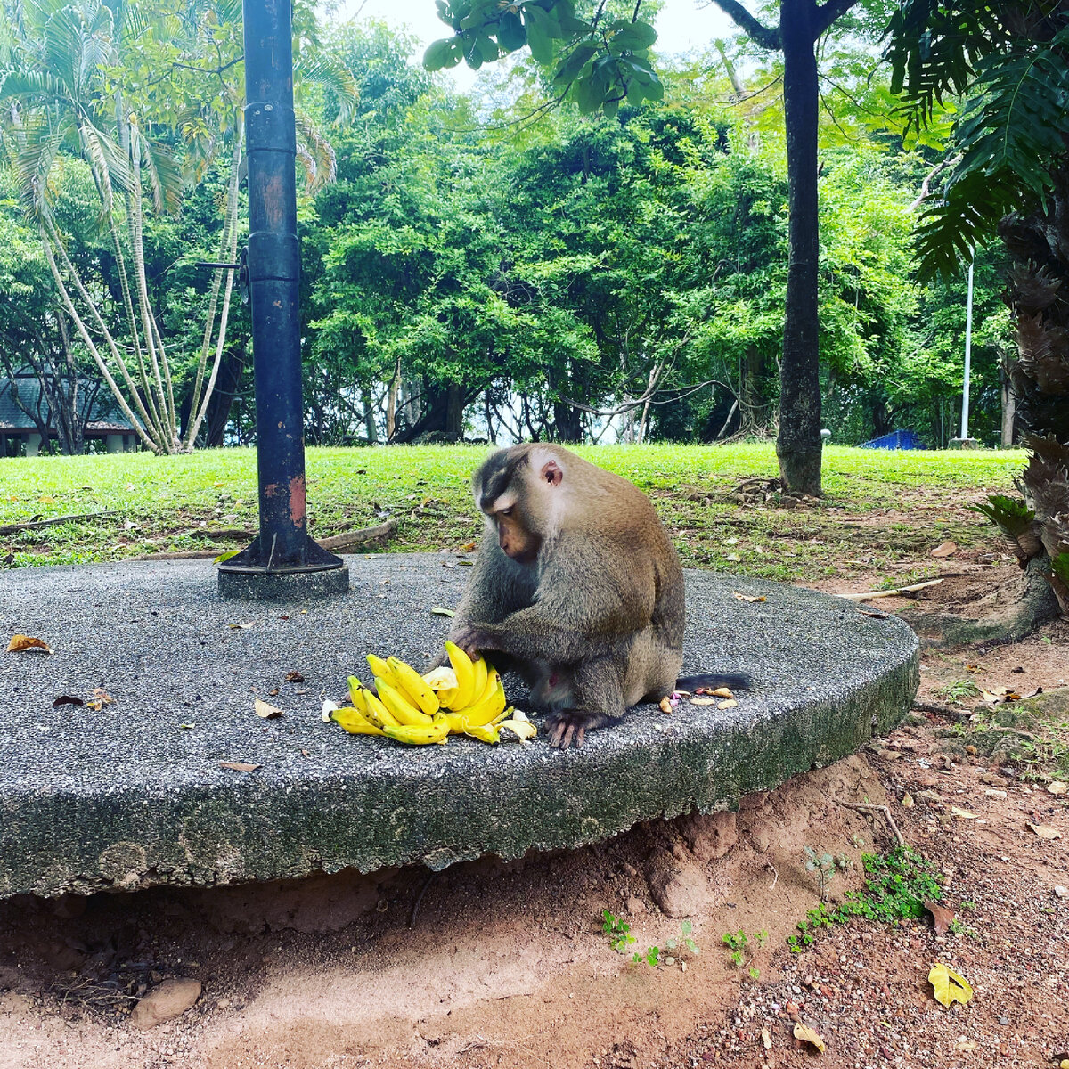 Из личного архива автора 01/2022#удобный человек #психология #психология отношений 