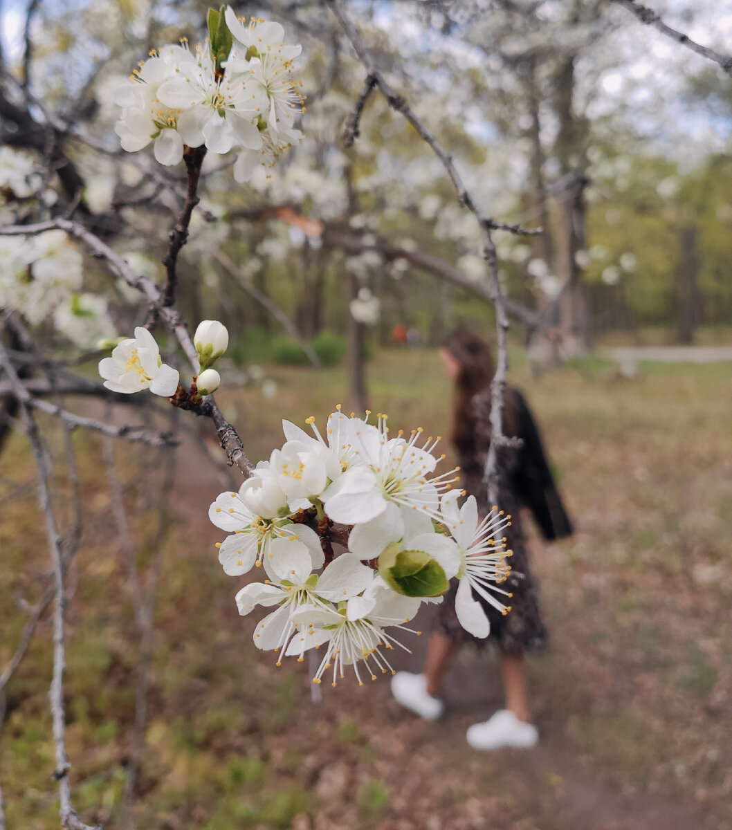 #мысли вслух #продвижение в соцсетях #новости в мире онлайна #социальные сети #блогеры #тексты для соцсетей #дзен #вконтакте #яrus #приложения для смартфона 