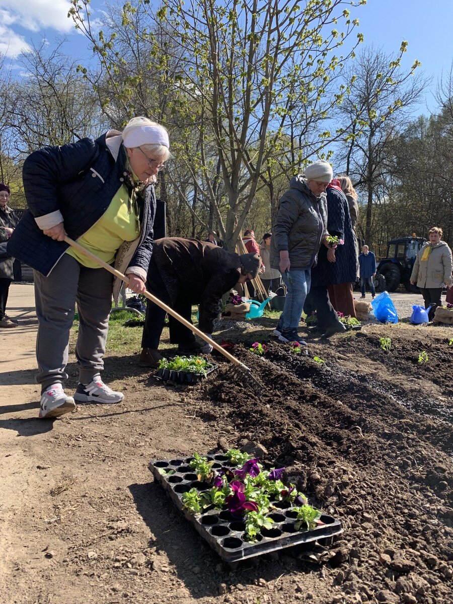 Экопросветительский проект "Городские дачники" в Бирюлевском Дендропарке.