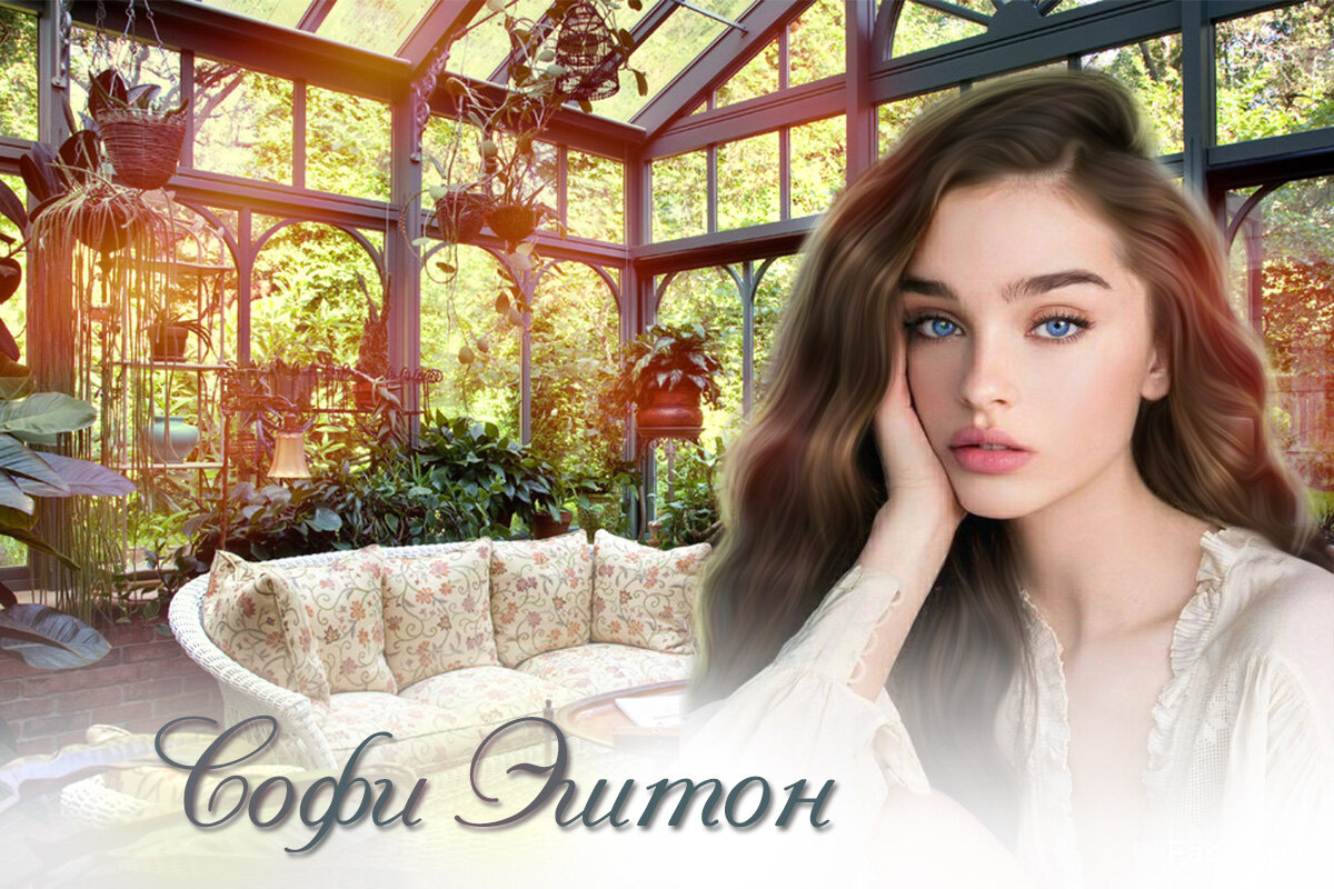 коллаж предоставлен автором