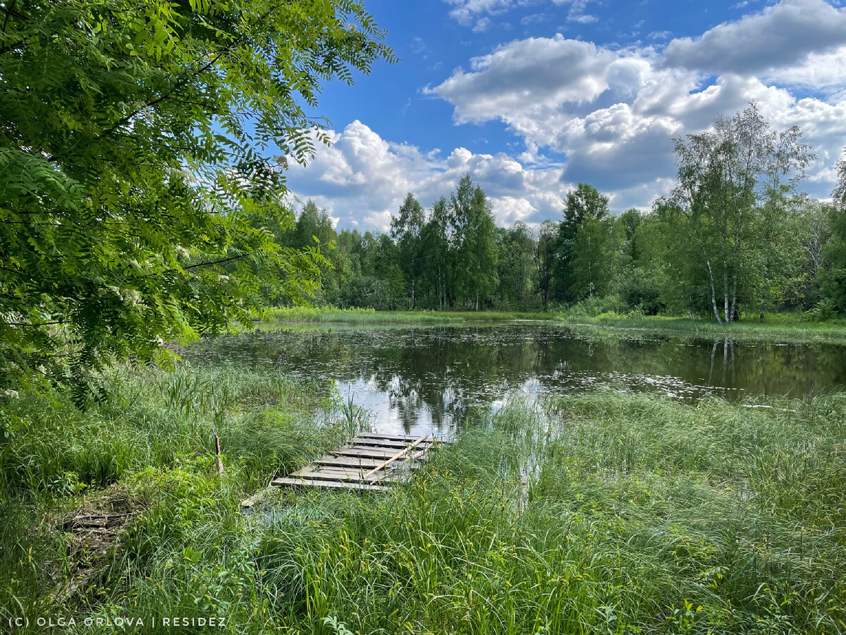 Озеро по пути. Для заброшенной деревни нам показалось слишком чистым…