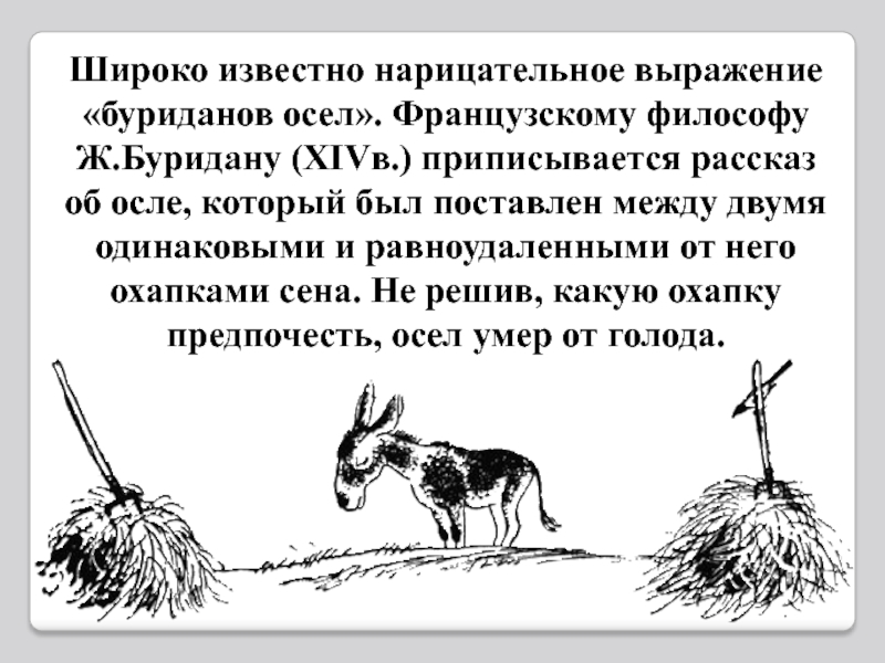 https://thepresentation.ru/img/tmb/3/253128/eef645bc234c0f0ab6be4733e2b5be96-800x.jpg