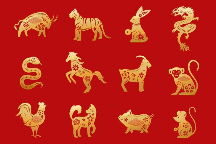    изображение с сайта freepik.com