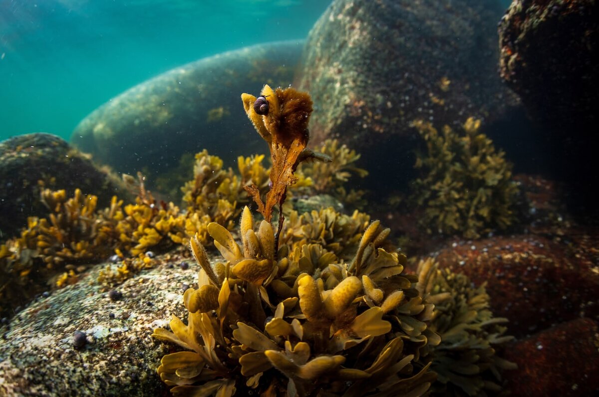 © Юрий Смитюк/ТАСС