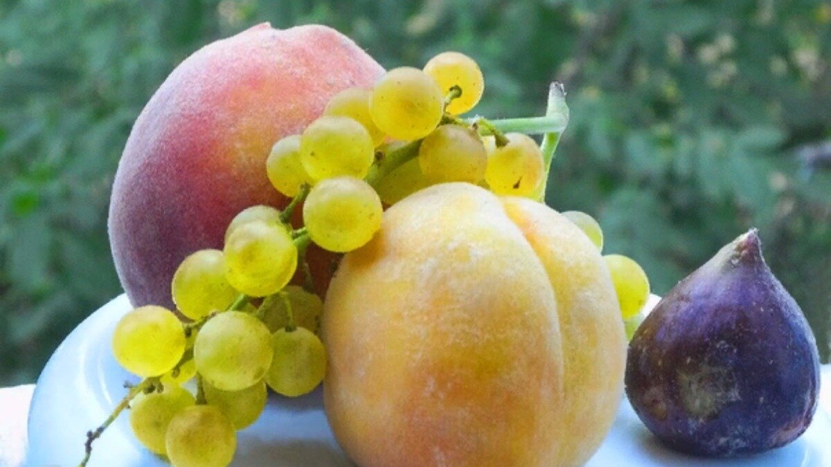 Картинка из интернета.