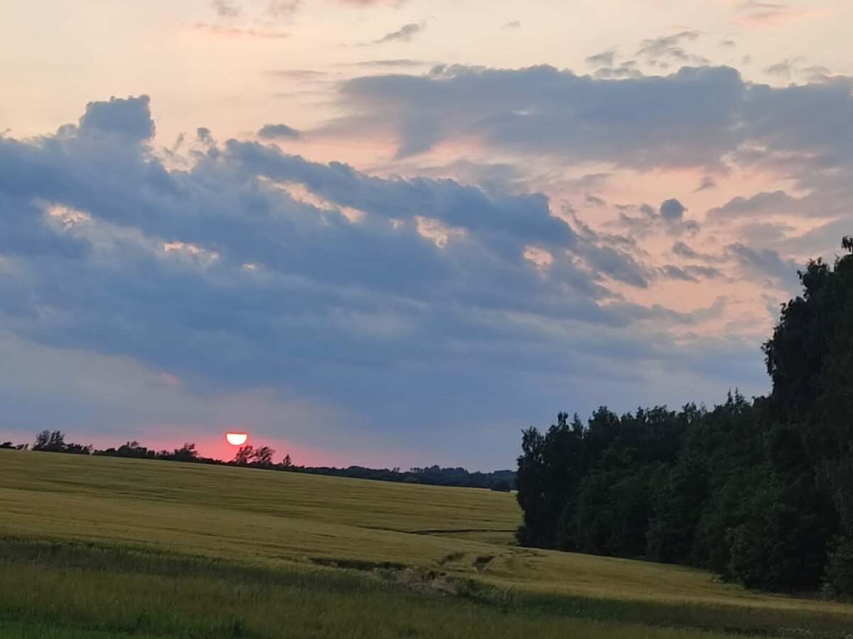 Закат Солнца. Фото автора 