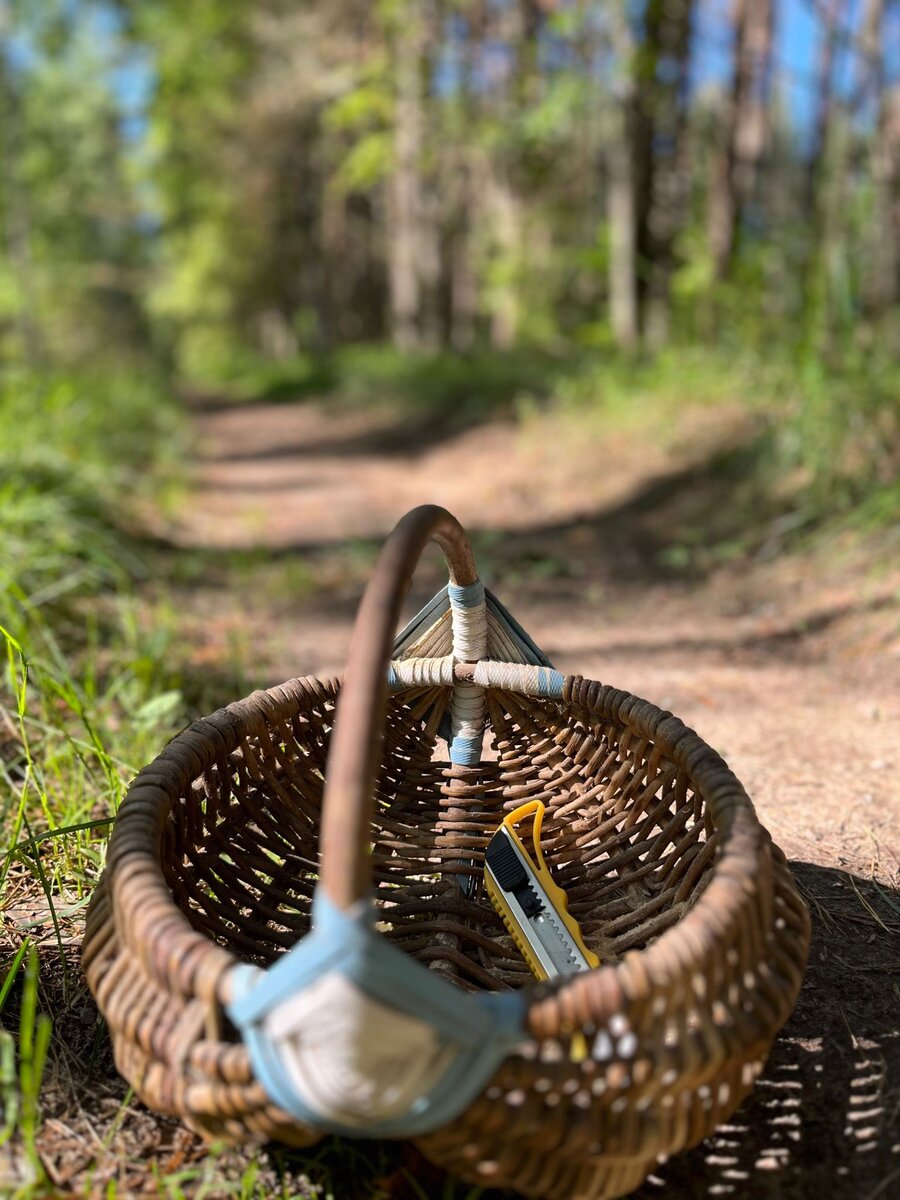 В лес по грибы. Корзинка, сплетенная папой) 