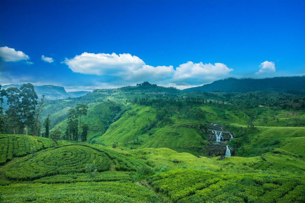 Nuwara Eliya Шри Ланка