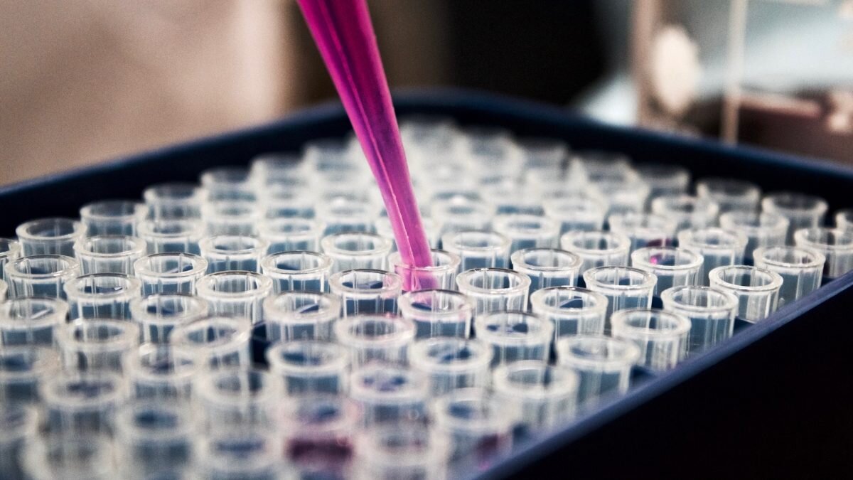    Фото: Louis Reed / Unsplash Август Макаров