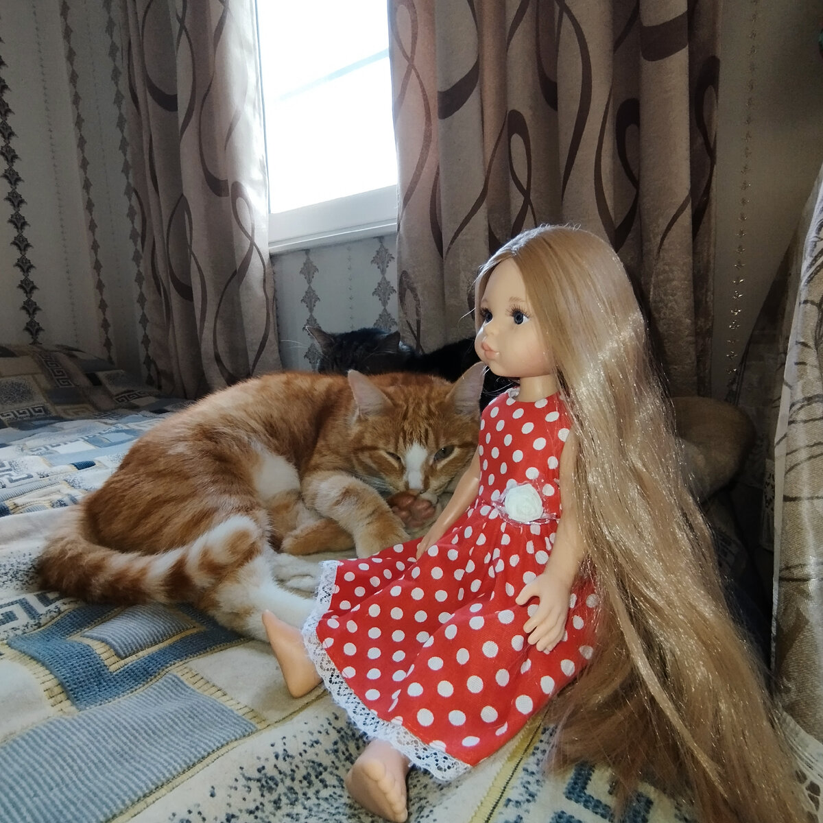 Карла подсела к котикам. А Гриша, хитрец такой, подглядывает одним глазком