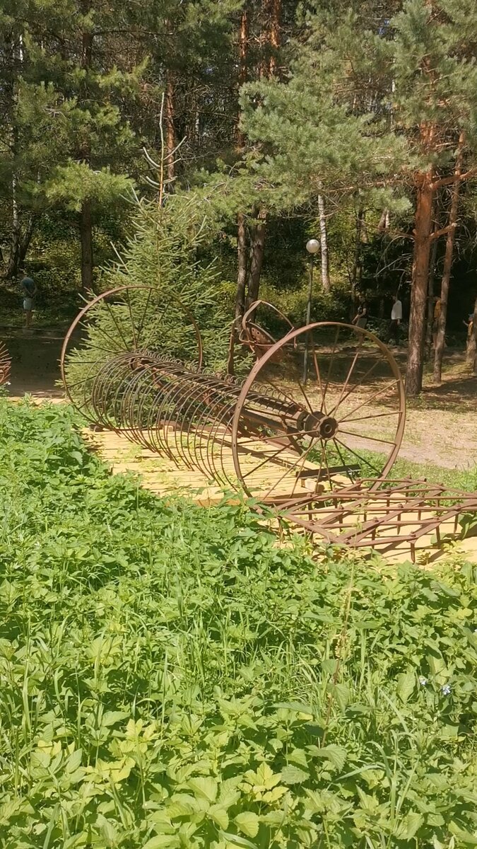 Босоногая тропа в Лосином острове | Пойдём гулять | Дзен