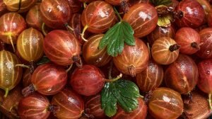    Фото: freepik / ededchechine Анна Полякова