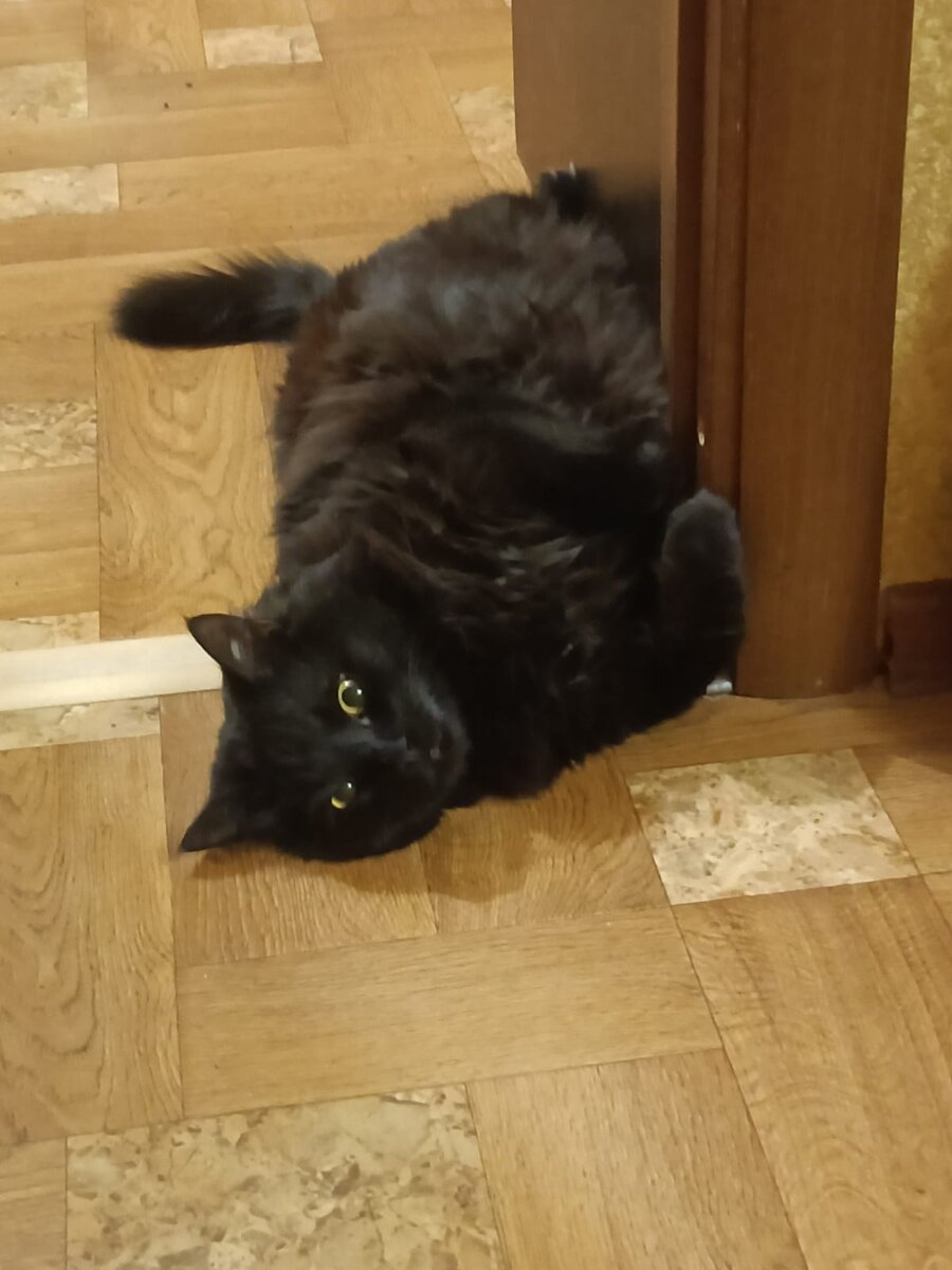 Как вы думаете, что выражает этот взгляд?