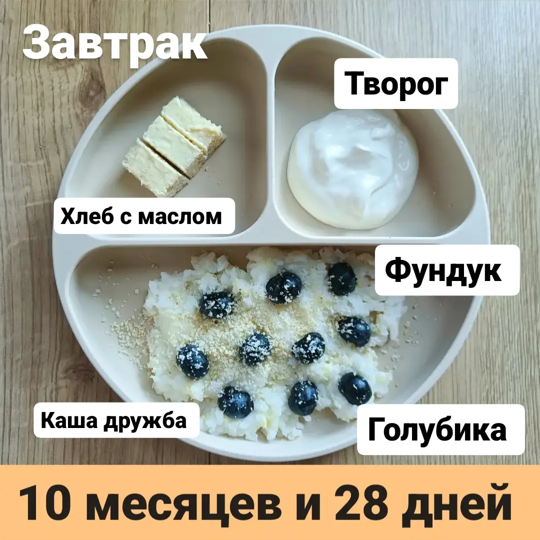 Пример тарелки в 10 месяцев 