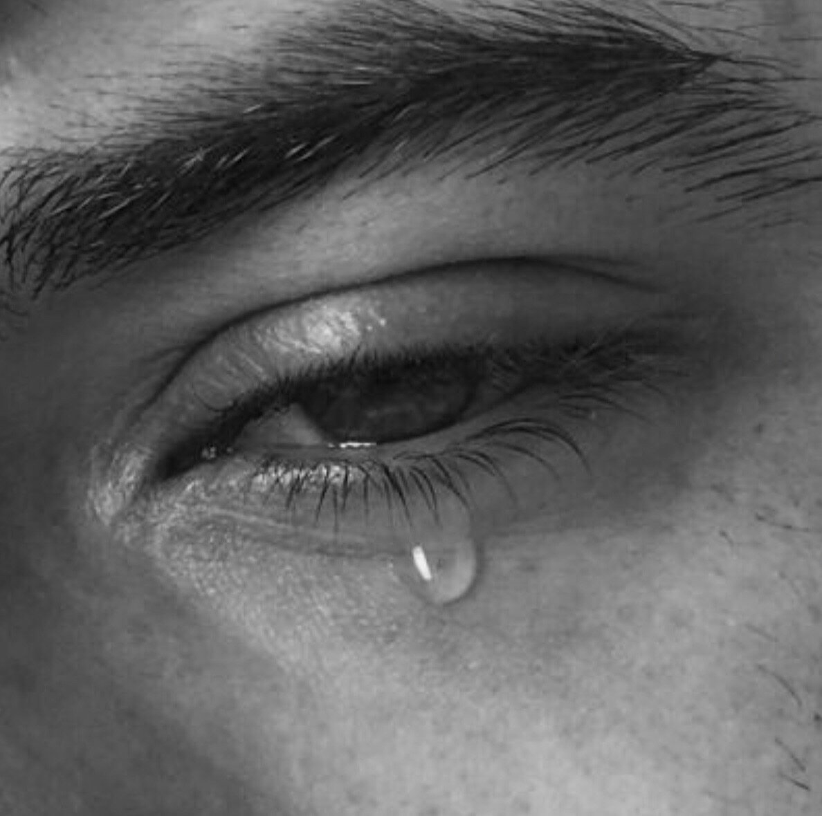 Источник Яндекс картинки.