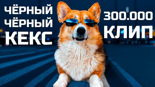 Video herunterladen: Корги Кекс - ЧЕРНЫЙ ЧЕРНЫЙ КЕКС!! (Official music video) 300к КЛИП!!