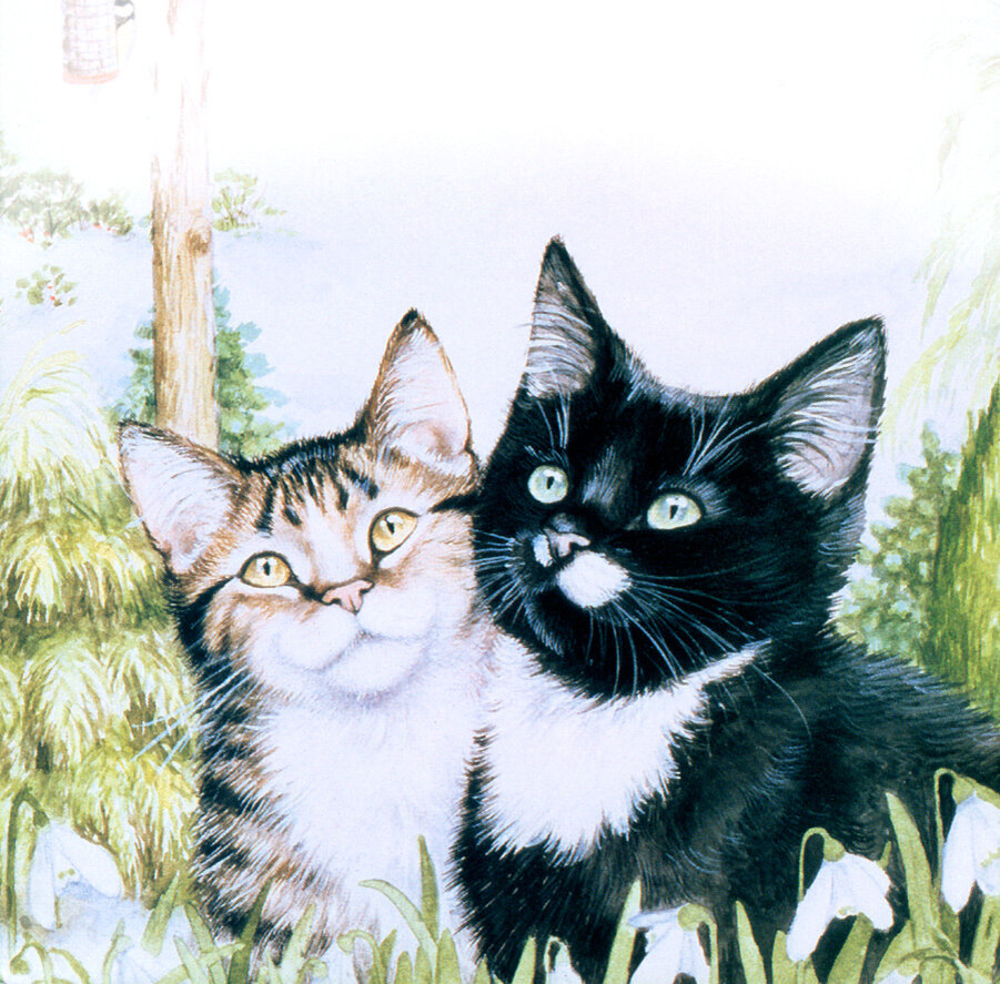 Рисунок из открытых источников